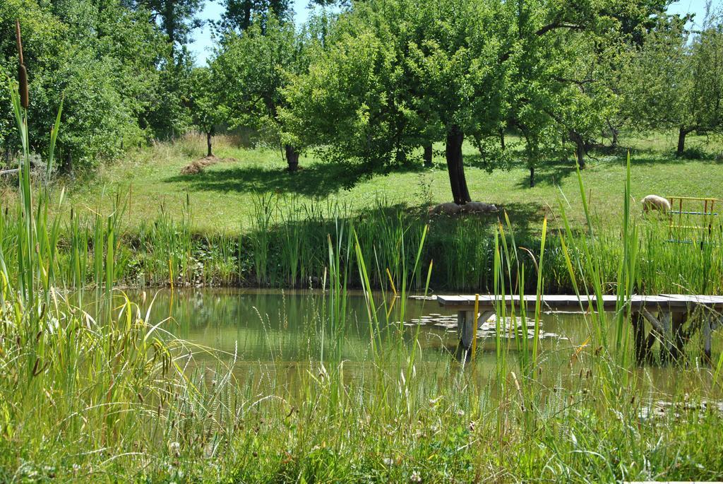 Gazdovsky Dvor "U Tlaciarov" ξενώνας Liptovský Trnovec Εξωτερικό φωτογραφία